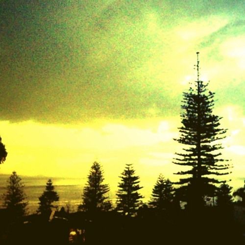 Post Image