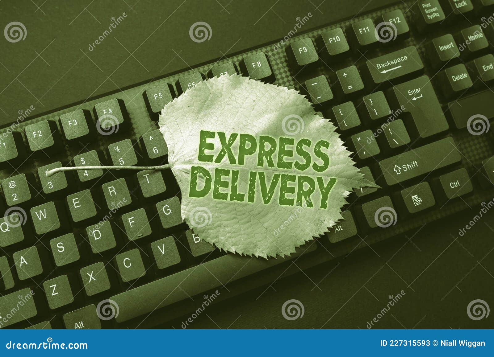 Post Image