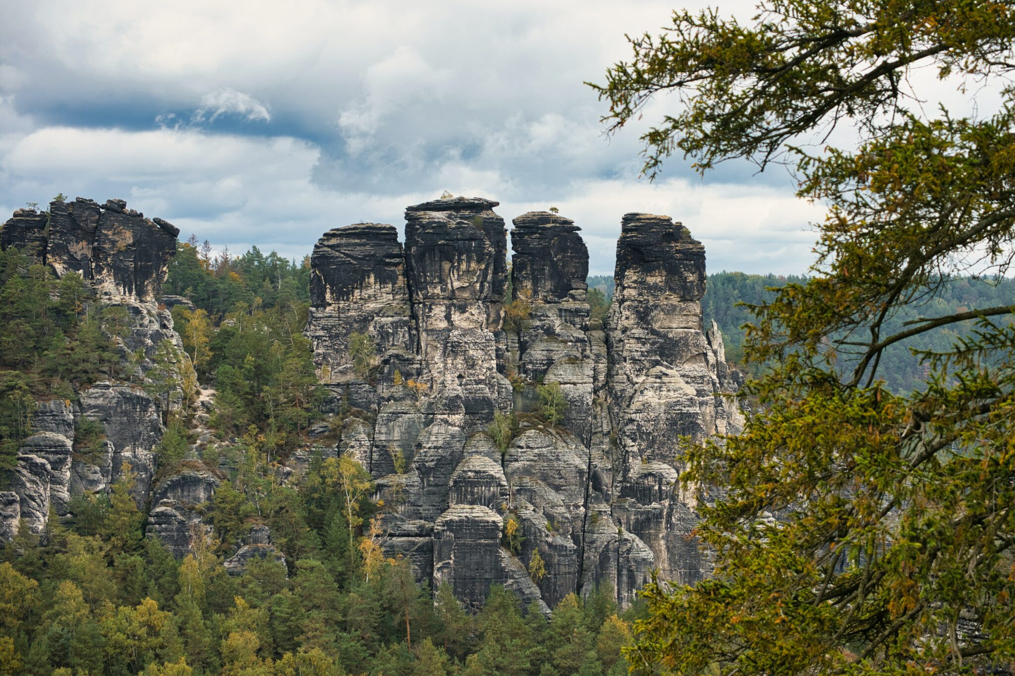 000 Bäume: Wiederaufforstung Im Nationalpark Sächsische Schweiz 000 Bäume: Wiederaufforstung Im Nationalpark Sächsische Schweiz