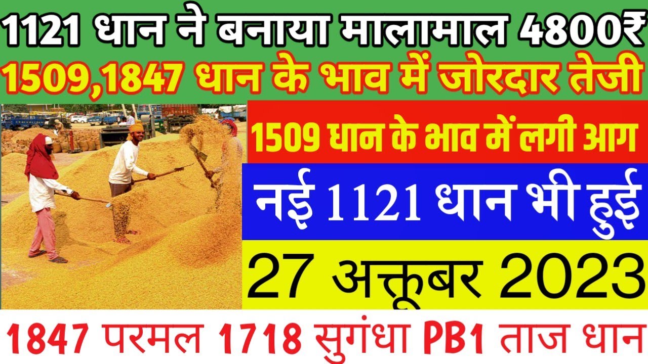 सेंसेक्स में 1509 अंकों की उछाल: निवेशकों की झोली में ₹4.5 लाख करोड़ सेंसेक्स में 1509 अंकों की उछाल: निवेशकों की झोली में ₹4.5 लाख करोड़