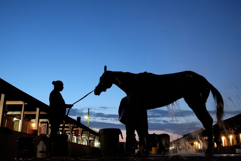 2025 Kentucky Derby: A Look At The Competing Jockeys 2025 Kentucky Derby: A Look At The Competing Jockeys