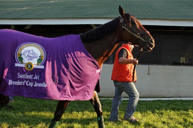 2025 Kentucky Derby: Analyzing The Early Betting Lines And Favorites 2025 Kentucky Derby: Analyzing The Early Betting Lines And Favorites