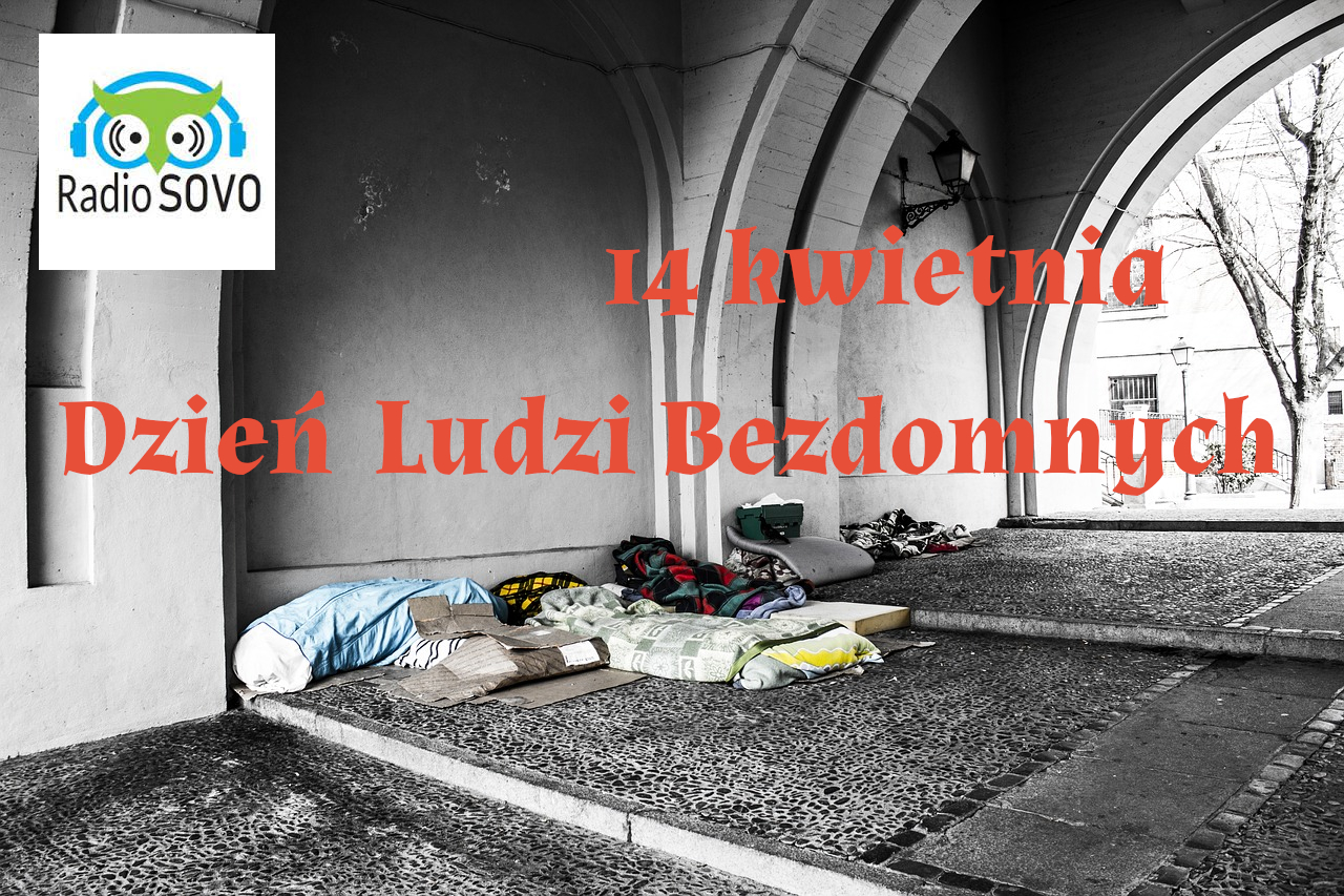 4 Kwietnia: Międzynarodowy Dzień Zwierząt Bezdomnych - Jak Możesz Pomóc?