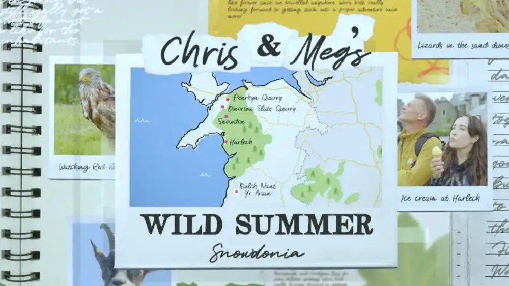 A Wild Summer For Chris And Meg A Wild Summer For Chris And Meg
