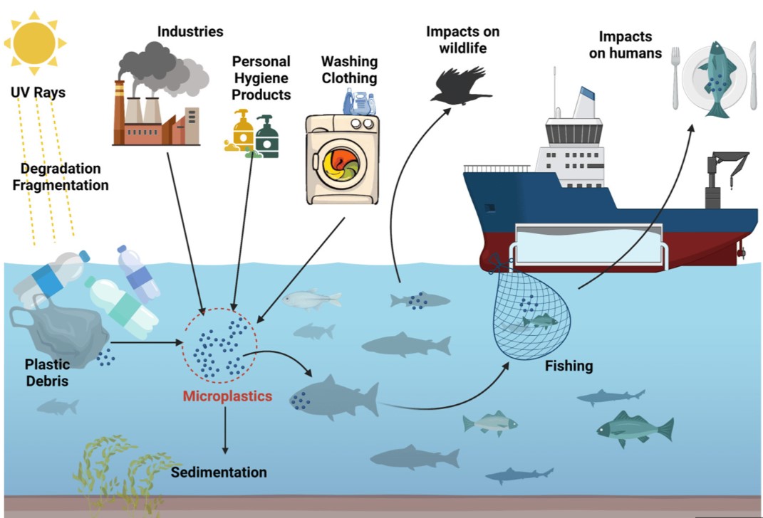 Acqua E Microplastiche: Una Mappa Dell'inquinamento Acqua E Microplastiche: Una Mappa Dell'inquinamento