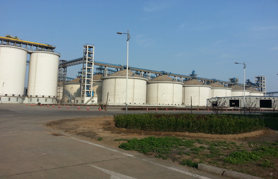 Addressing China's Soybean Deficit: Sinograin's Auction Strategy Addressing China's Soybean Deficit: Sinograin's Auction Strategy