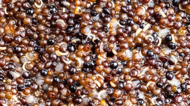 Adiós A Las Enfermedades Crónicas: El Superalimento Que Promueve El Envejecimiento Saludable Adiós A Las Enfermedades Crónicas: El Superalimento Que Promueve El Envejecimiento Saludable