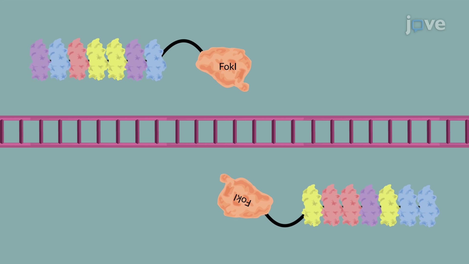 Advanced Gene Editor: Precise Complete Gene Insertion Advanced Gene Editor: Precise Complete Gene Insertion