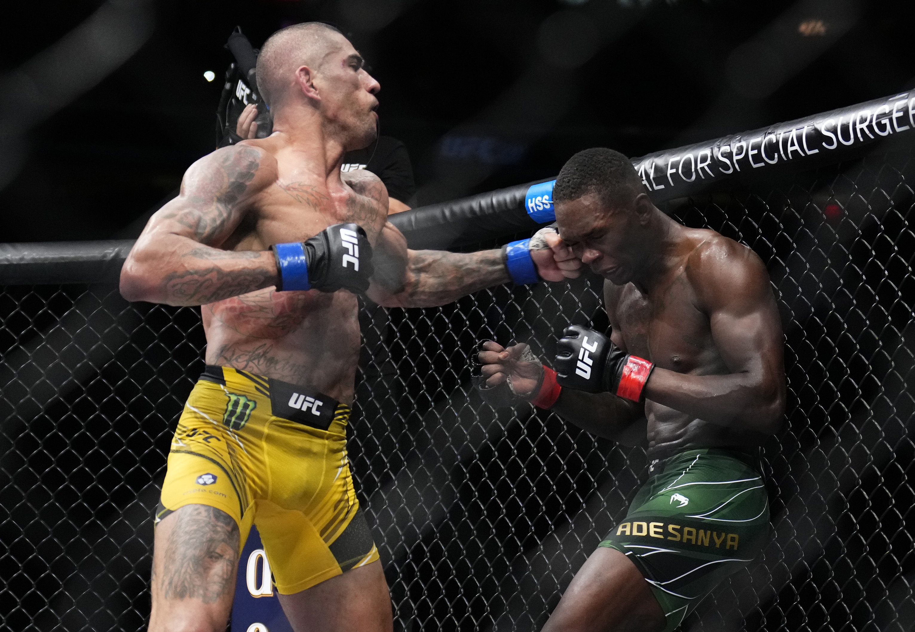 Alex Pereira's Post-UFC 313 Interview: Future Fight Plans Revealed Alex Pereira's Post-UFC 313 Interview: Future Fight Plans Revealed