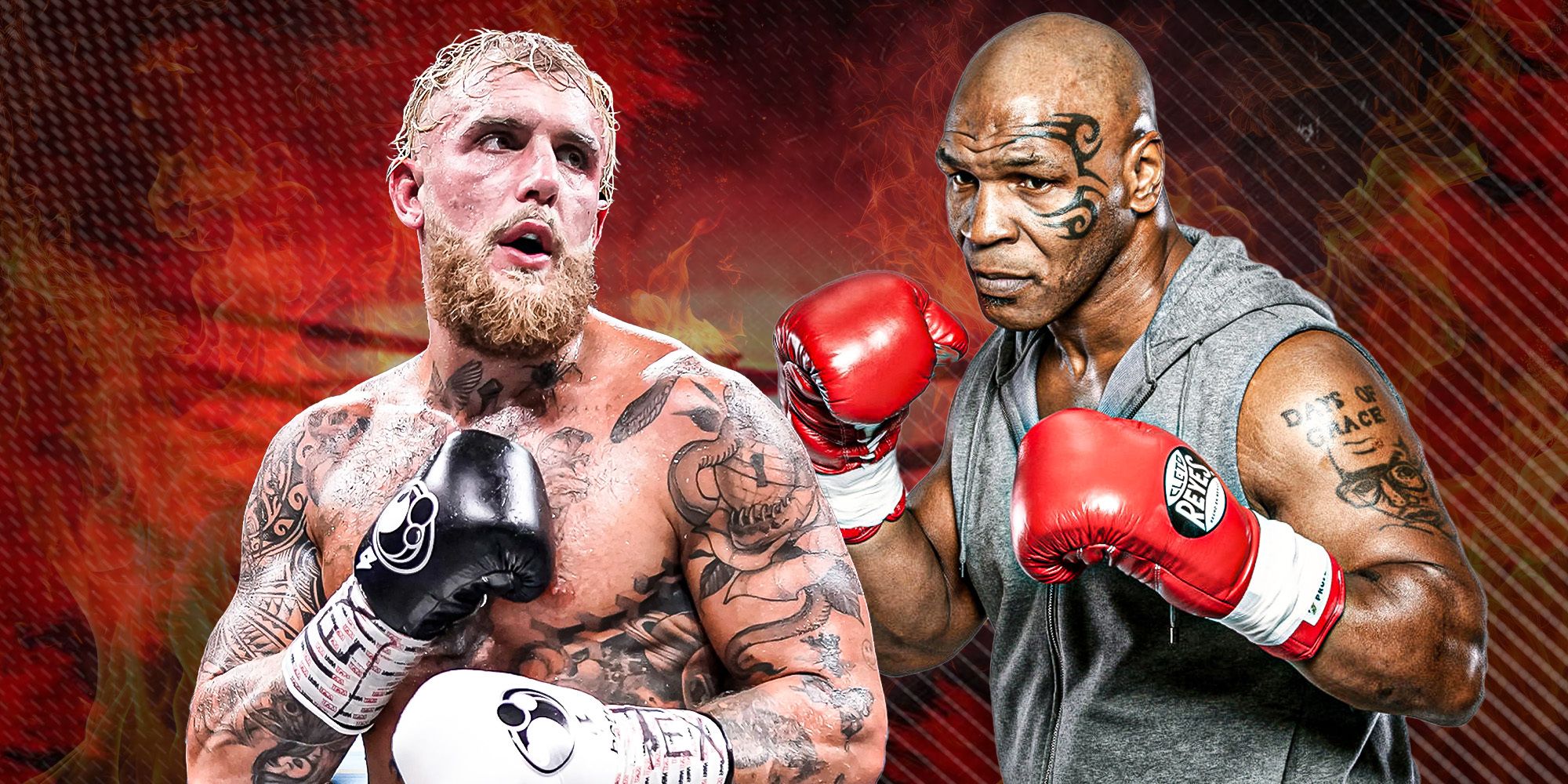 Alvarez's Concise Opinion: His Take On Jake Paul And Boxing's Future Alvarez's Concise Opinion: His Take On Jake Paul And Boxing's Future