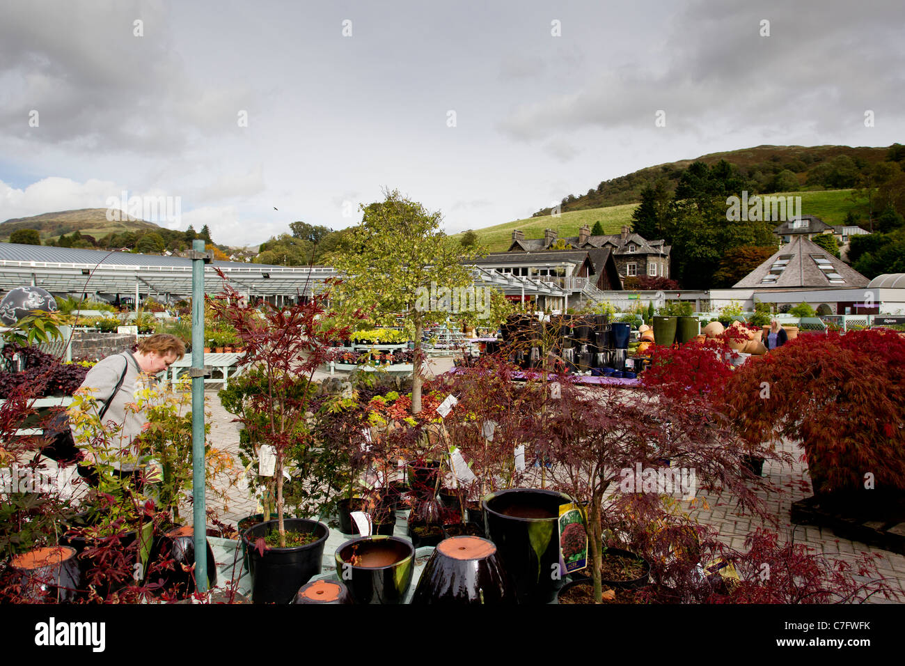 Ambleside Pair Face Charges After Hayes Garden World Theft Ambleside Pair Face Charges After Hayes Garden World Theft