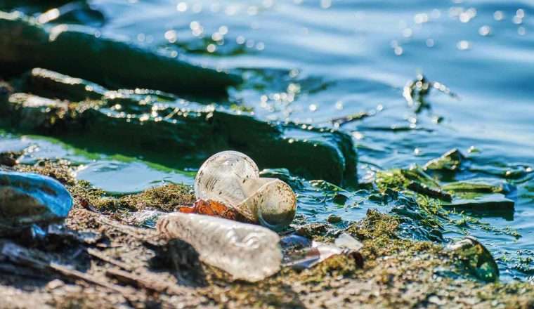 Analisi Della Presenza Di Microplastiche Nelle Diverse Acque Analisi Della Presenza Di Microplastiche Nelle Diverse Acque