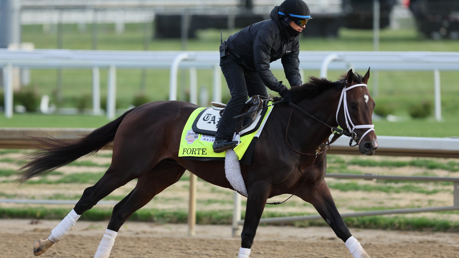 Analyzing The 2025 Tampa Bay Derby: Odds, Field & Kentucky Derby Prospects Analyzing The 2025 Tampa Bay Derby: Odds, Field & Kentucky Derby Prospects