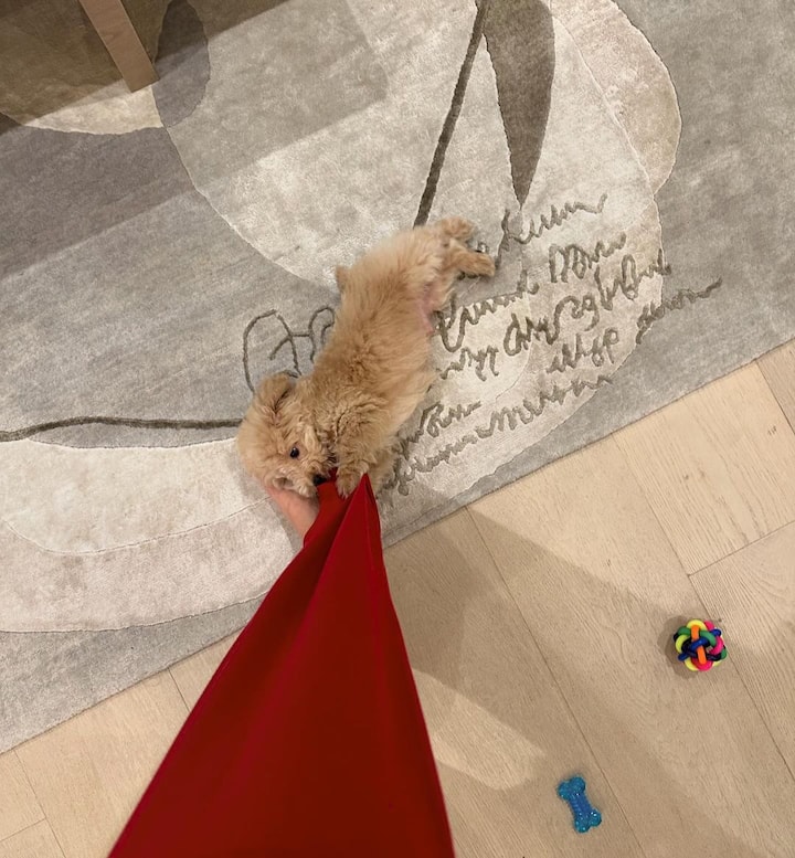 Ananya Panday's Dog Riot's First Birthday: Photos And Details Of The Celebration Ananya Panday's Dog Riot's First Birthday: Photos And Details Of The Celebration