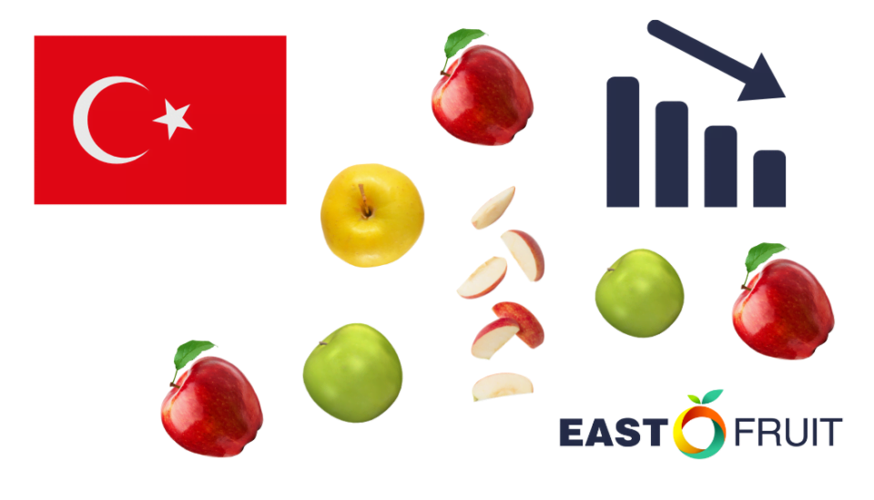 Apple Exports: South Africa's Rise To Top Supplier Apple Exports: South Africa's Rise To Top Supplier