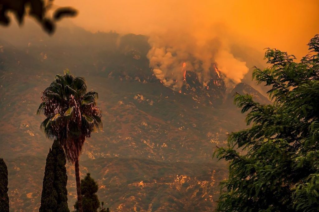 Are People Really Betting On The Los Angeles Wildfires? A Look At The Current Climate Are People Really Betting On The Los Angeles Wildfires? A Look At The Current Climate