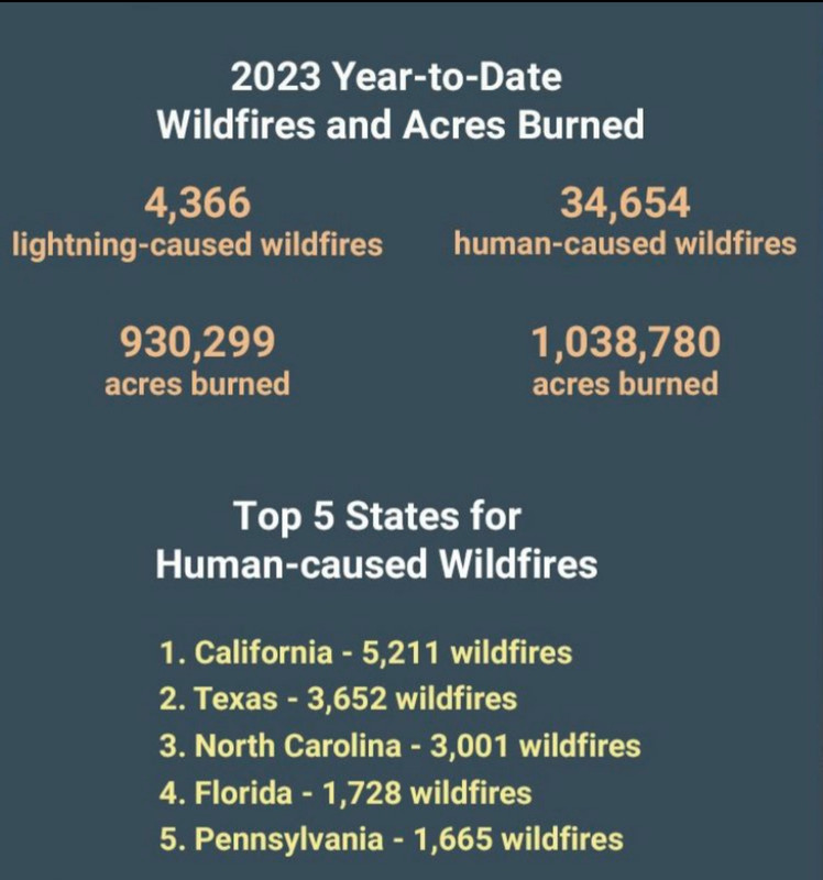 Are We Normalizing Disaster Betting? The LA Wildfires Example Are We Normalizing Disaster Betting? The LA Wildfires Example