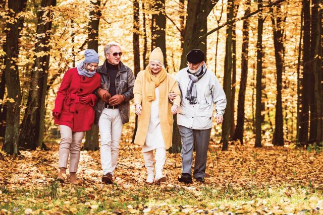 Best Senior Trips, Activities & Events Calendar Best Senior Trips, Activities & Events Calendar
