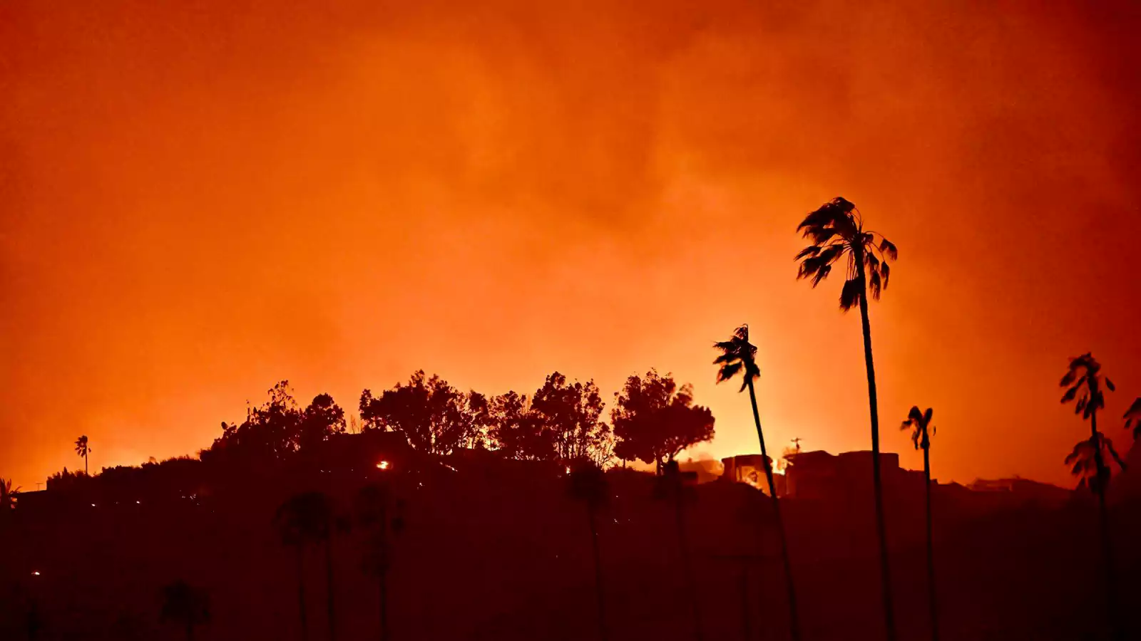 Betting On The Los Angeles Wildfires: A Commentary On Modern Society Betting On The Los Angeles Wildfires: A Commentary On Modern Society