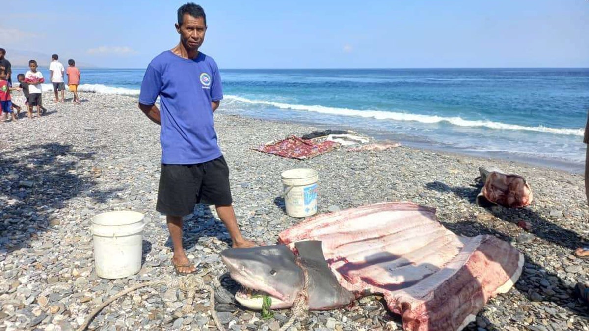 Body Found After Swimmer Disappears Near Shark-Infested Israeli Beach Body Found After Swimmer Disappears Near Shark-Infested Israeli Beach
