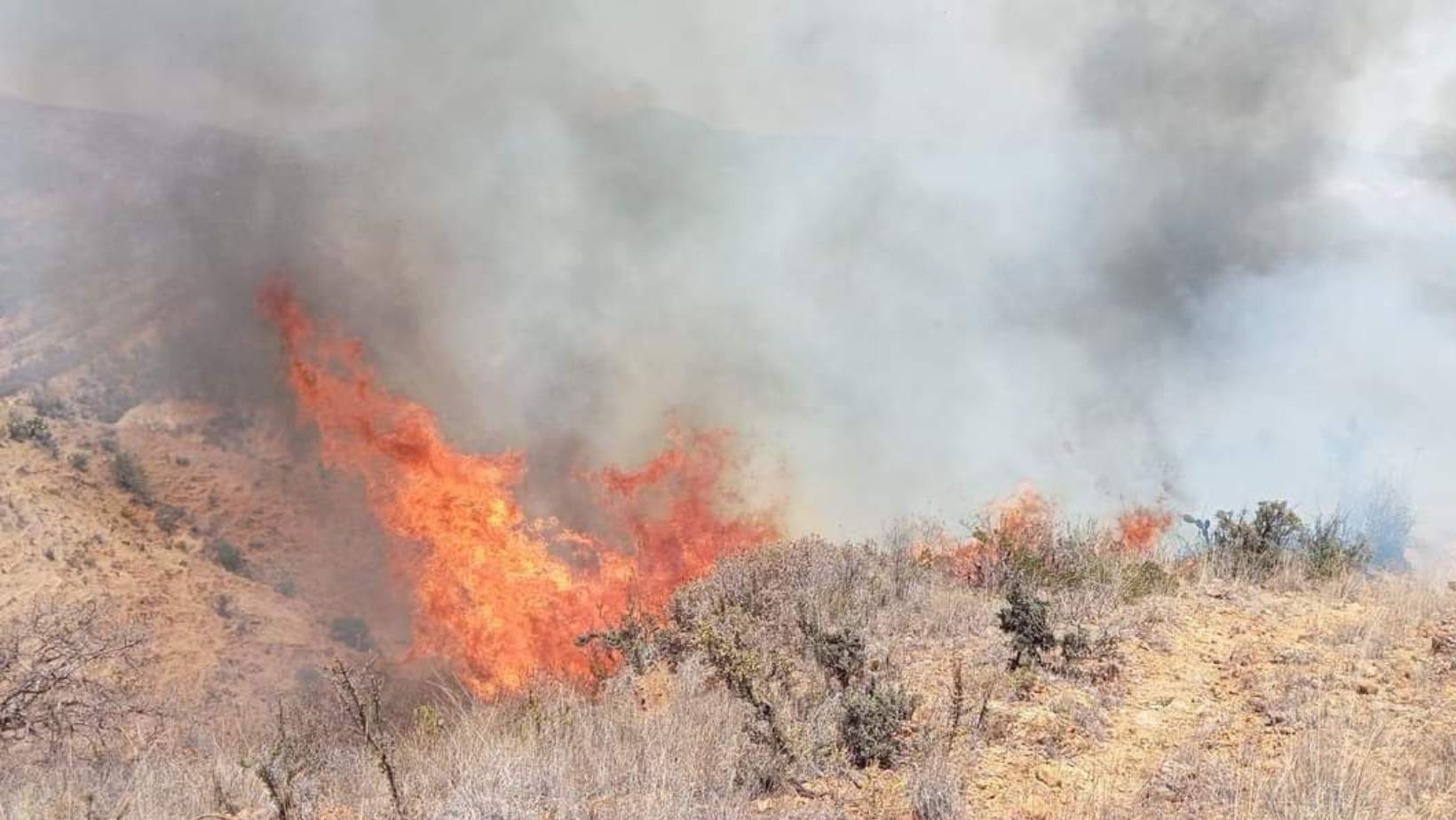 Bomberos Forestales Luchan Contra Incendio En Constanza: Residentes Afectados Por Humo Bomberos Forestales Luchan Contra Incendio En Constanza: Residentes Afectados Por Humo