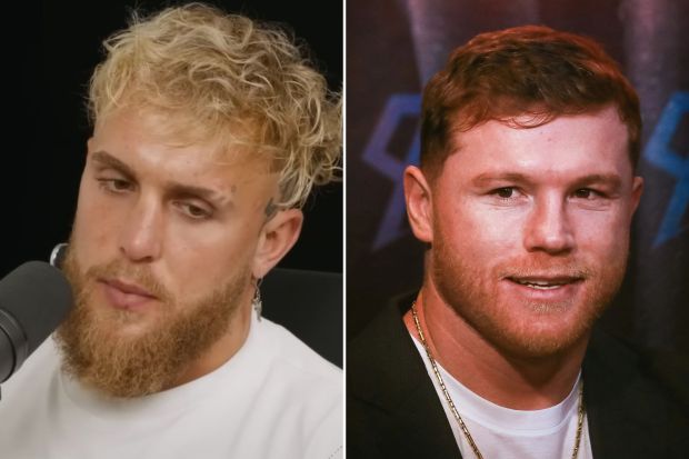 Boxing Champ Canelo Alvarez's Marriage Counsel For Jake Paul Boxing Champ Canelo Alvarez's Marriage Counsel For Jake Paul