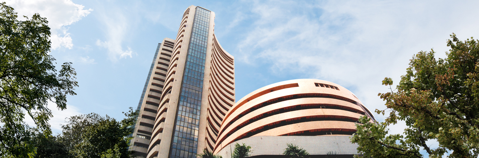 BSE Stock Market Surge: Stocks That Gained 10%+ Today BSE Stock Market Surge: Stocks That Gained 10%+ Today