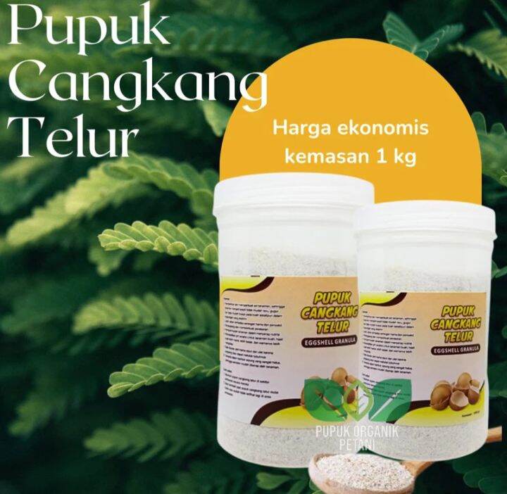 Bukan Sekadar Sampah: Cangkang Telur, Sumber Nutrisi Untuk Tanaman Dan Hewan Bukan Sekadar Sampah: Cangkang Telur, Sumber Nutrisi Untuk Tanaman Dan Hewan