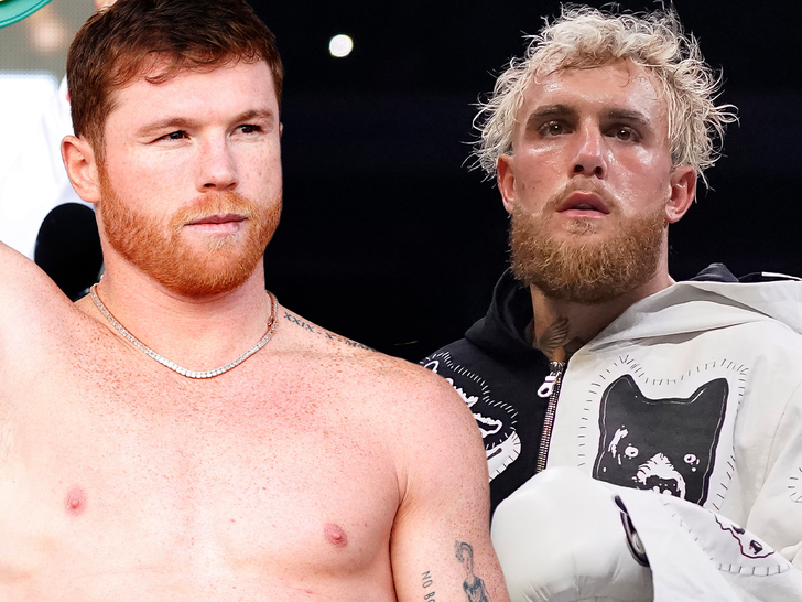 Canelo Alvarez: One Word On Jake Paul And Rivals Canelo Alvarez: One Word On Jake Paul And Rivals