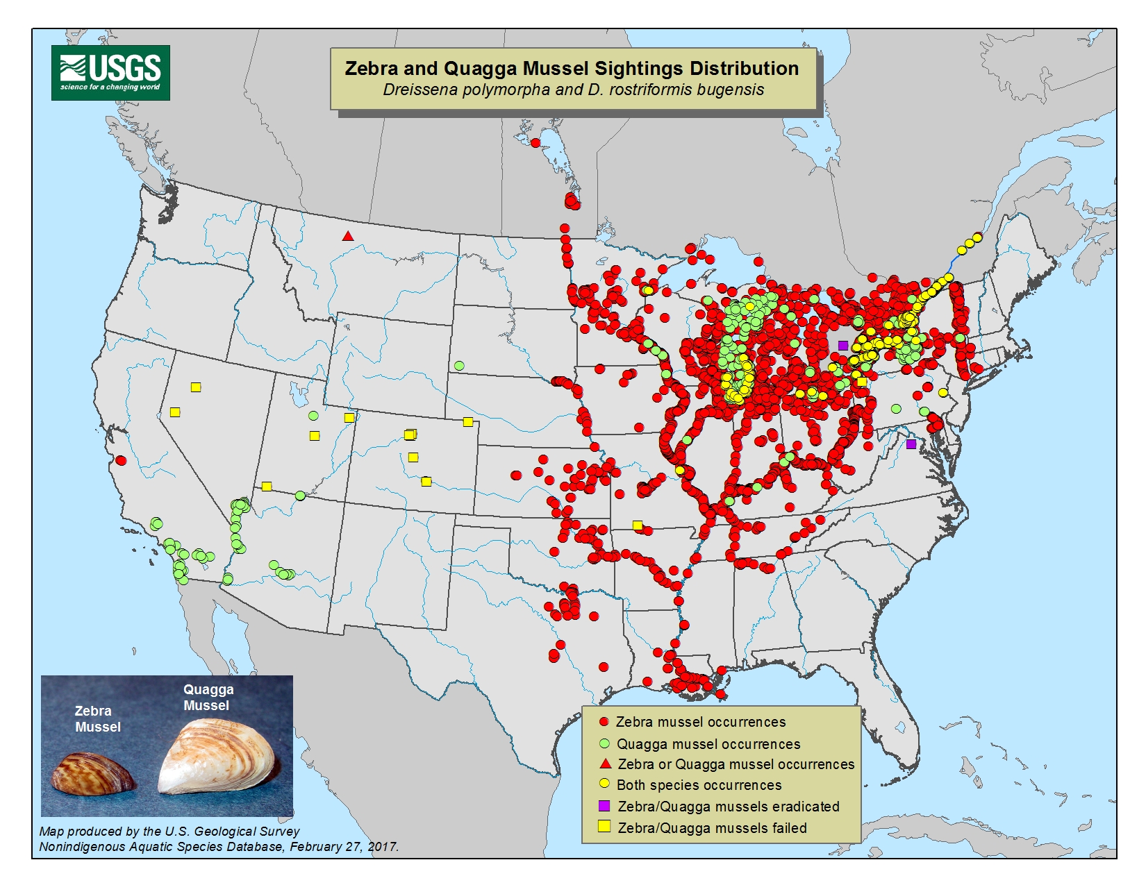 Casper Resident's Unwanted Boat Lift Guests: Thousands Of Zebra Mussels Casper Resident's Unwanted Boat Lift Guests: Thousands Of Zebra Mussels