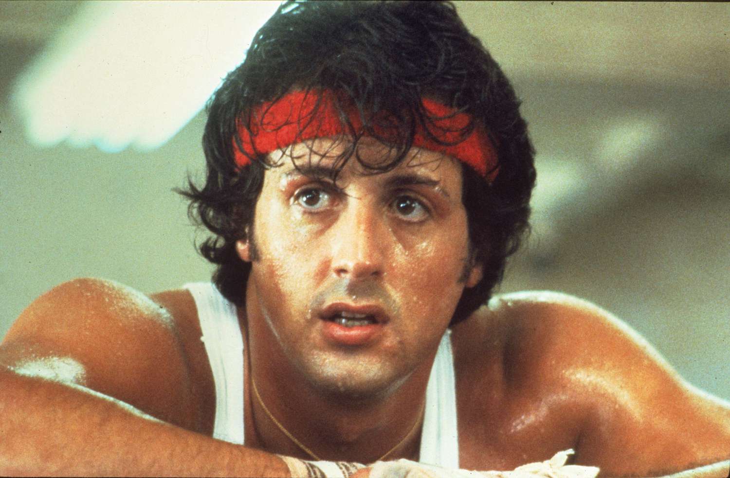 Câți Bani A Câștigat Sylvester Stallone Din Rocky? Câți Bani A Câștigat Sylvester Stallone Din Rocky?