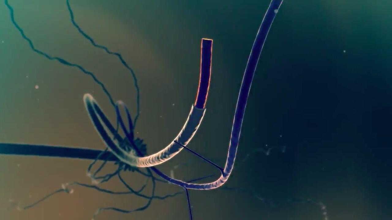 CayFest's Splice: A Cinematic Exploration CayFest's Splice: A Cinematic Exploration