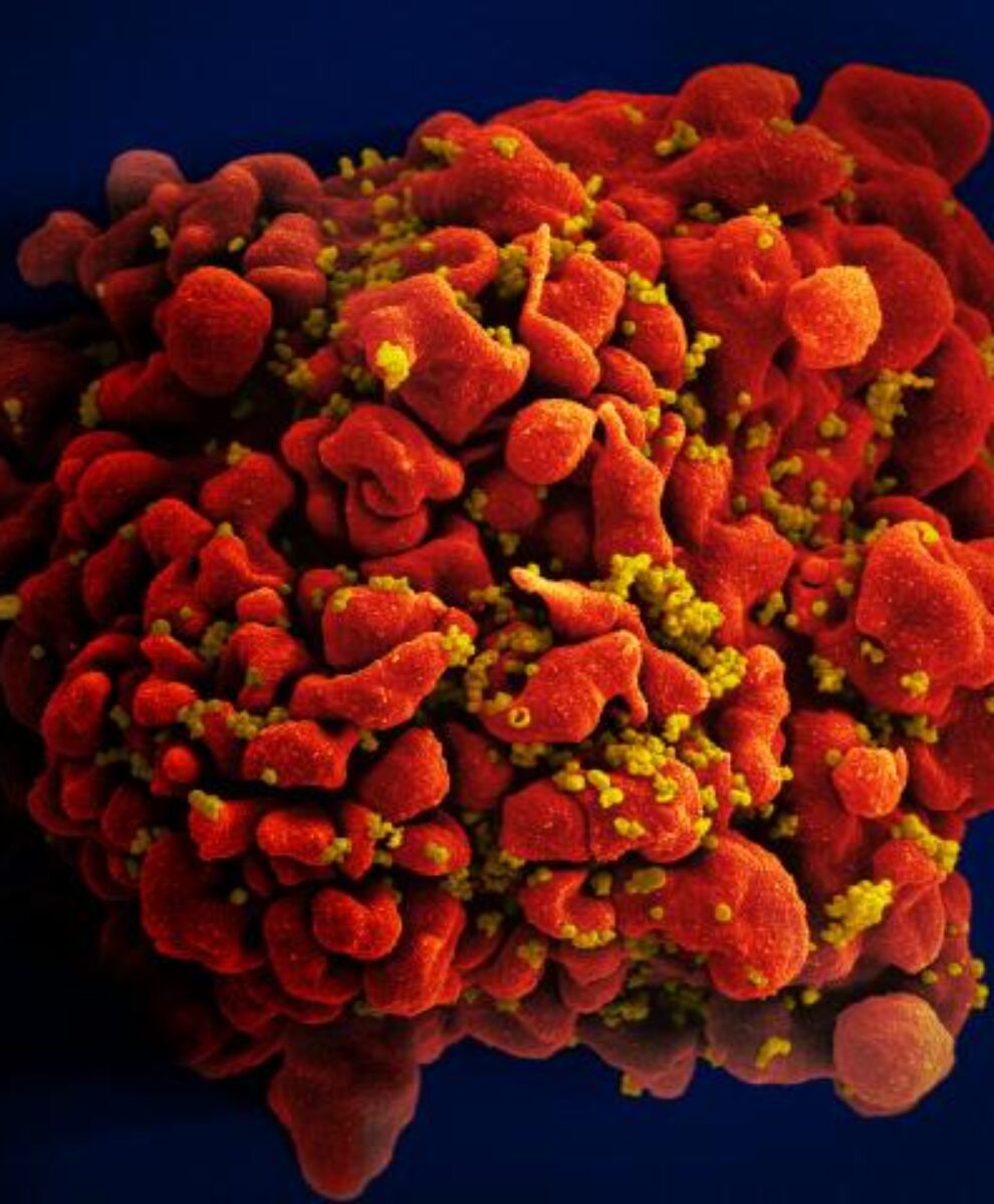 Children's Hospital Community Activist Proposes Uterine Transplants For Transgender Women Children's Hospital Community Activist Proposes Uterine Transplants For Transgender Women