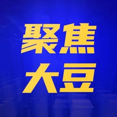 China's Sinograin To Auction Imported Soybeans: Addressing Supply Shortages China's Sinograin To Auction Imported Soybeans: Addressing Supply Shortages