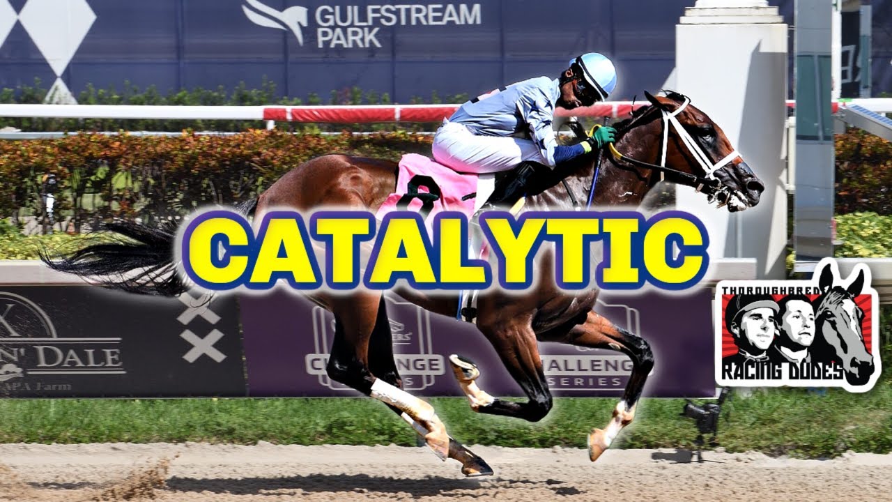 Chunk Of Gold: A 2025 Kentucky Derby Contender Profile Chunk Of Gold: A 2025 Kentucky Derby Contender Profile