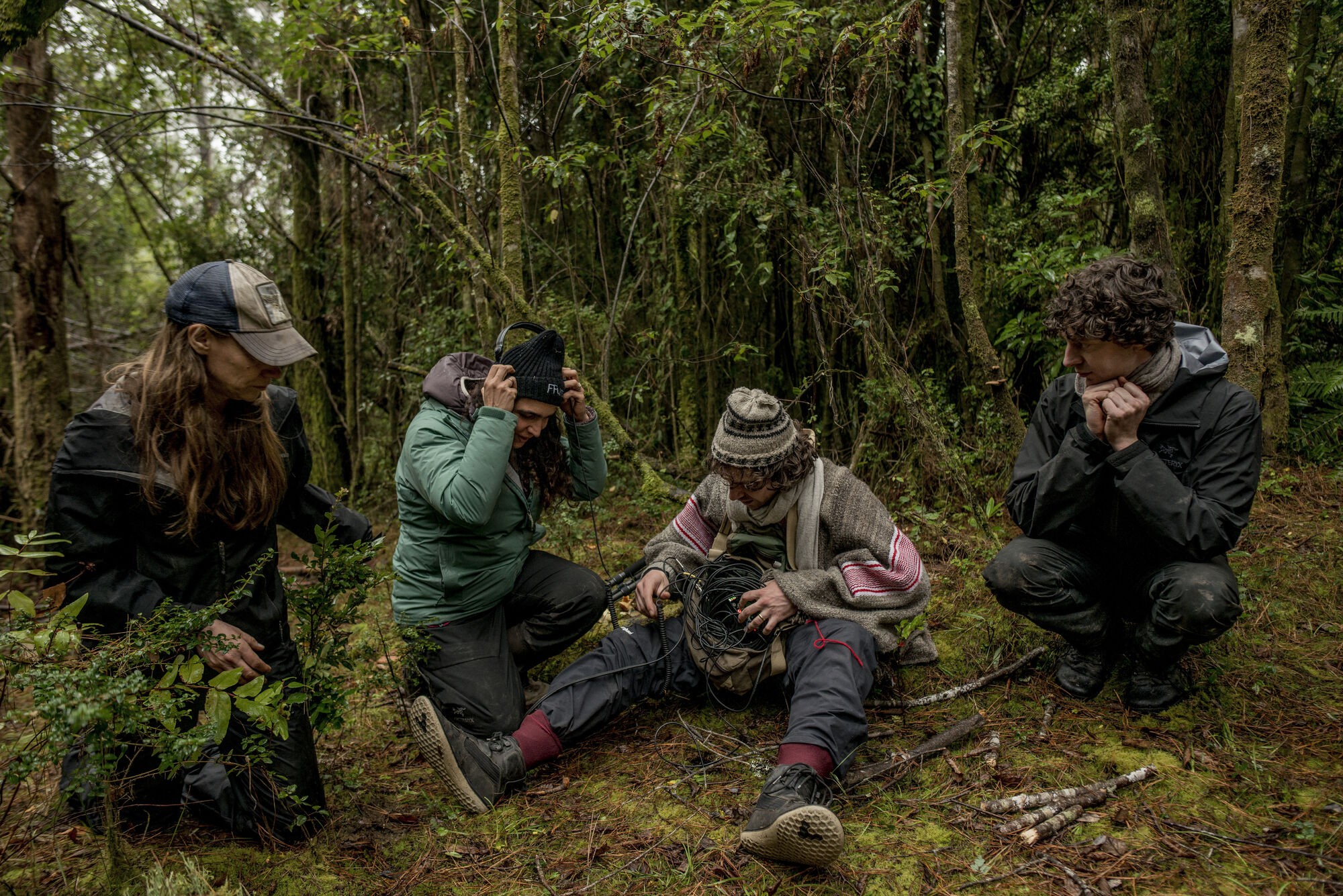 Climate Change Fuels The Spread Of Deadly Internal Fungi Climate Change Fuels The Spread Of Deadly Internal Fungi