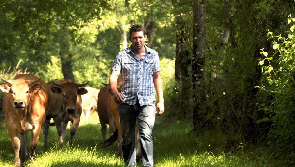 Clisson Et Moncoutant-sur-Sèvre : Une Histoire De Diversification Centenaire Clisson Et Moncoutant-sur-Sèvre : Une Histoire De Diversification Centenaire
