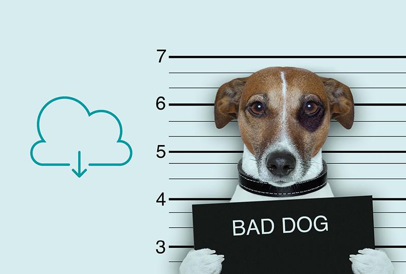 Cloudflare Challenges LaLiga's Illegal Website Blocking In Court Cloudflare Challenges LaLiga's Illegal Website Blocking In Court