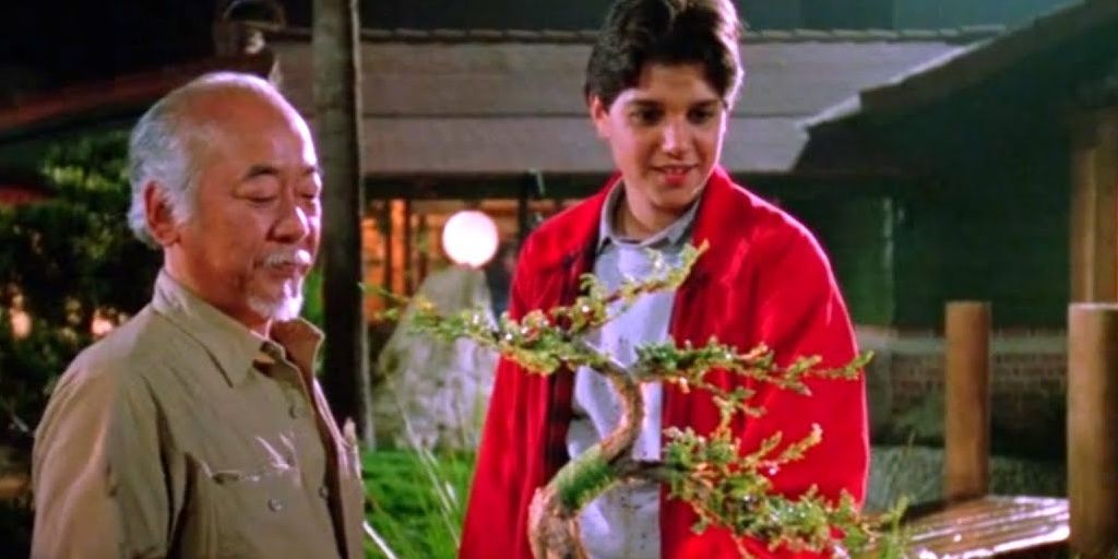 Cobra Kai And The Karate Kid: Exploring Continuity And Connections Cobra Kai And The Karate Kid: Exploring Continuity And Connections