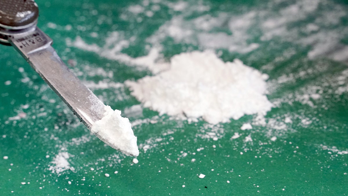 Cocaine Found At White House: Secret Service Completes Investigation Cocaine Found At White House: Secret Service Completes Investigation