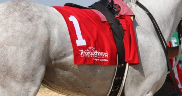 Colonial Downs' Virginia Derby: The Official Announcement From Stone Colonial Downs' Virginia Derby: The Official Announcement From Stone