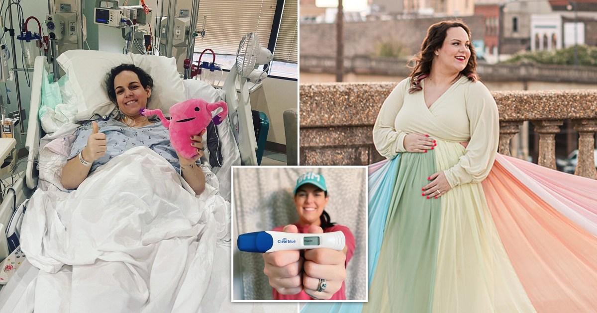 Community Activist Advocates For Uterine Transplants To Enable Pregnancy In Transgender Women Community Activist Advocates For Uterine Transplants To Enable Pregnancy In Transgender Women