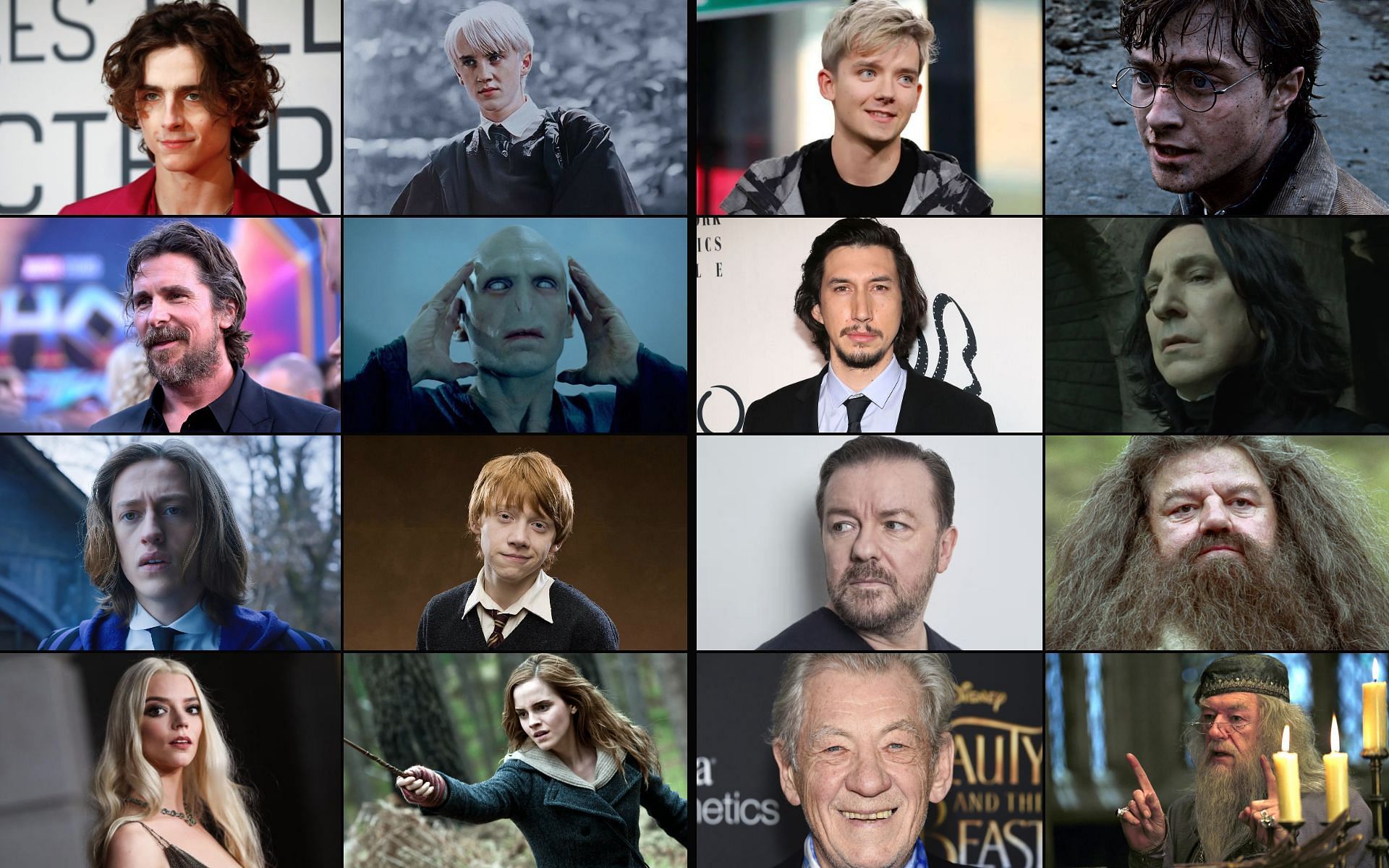 Confirmed Cast: Harry Potter TV Series - Dumbledore, Snape, Hagrid, And McGonagall Actors Announced Confirmed Cast: Harry Potter TV Series - Dumbledore, Snape, Hagrid, And McGonagall Actors Announced