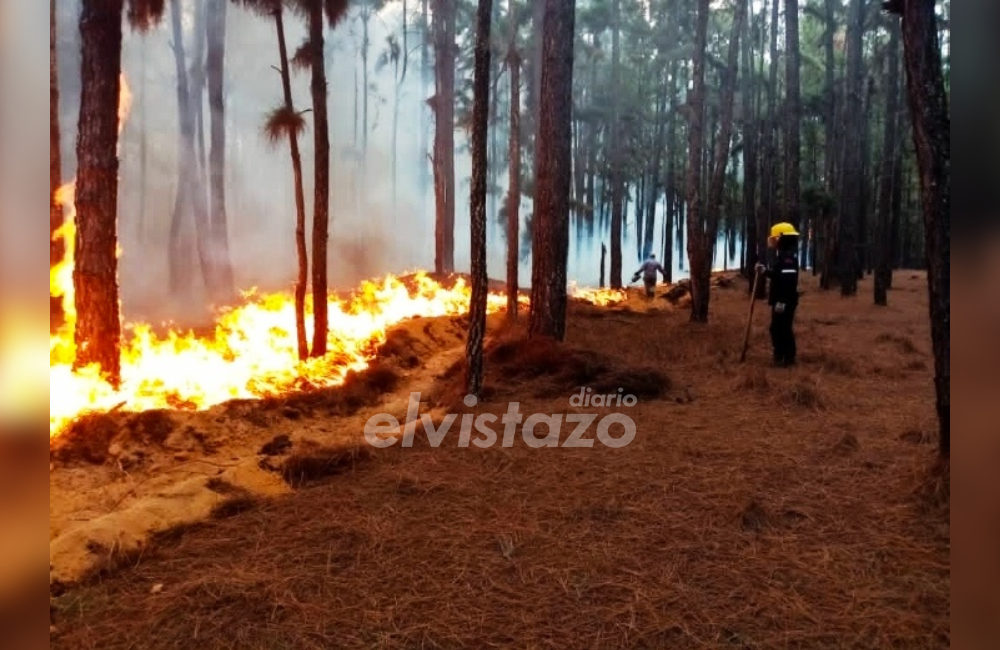 Constanza: Gran Incendio Forestal, Bomberos Combaten Llamas Y Humo Tóxico Constanza: Gran Incendio Forestal, Bomberos Combaten Llamas Y Humo Tóxico