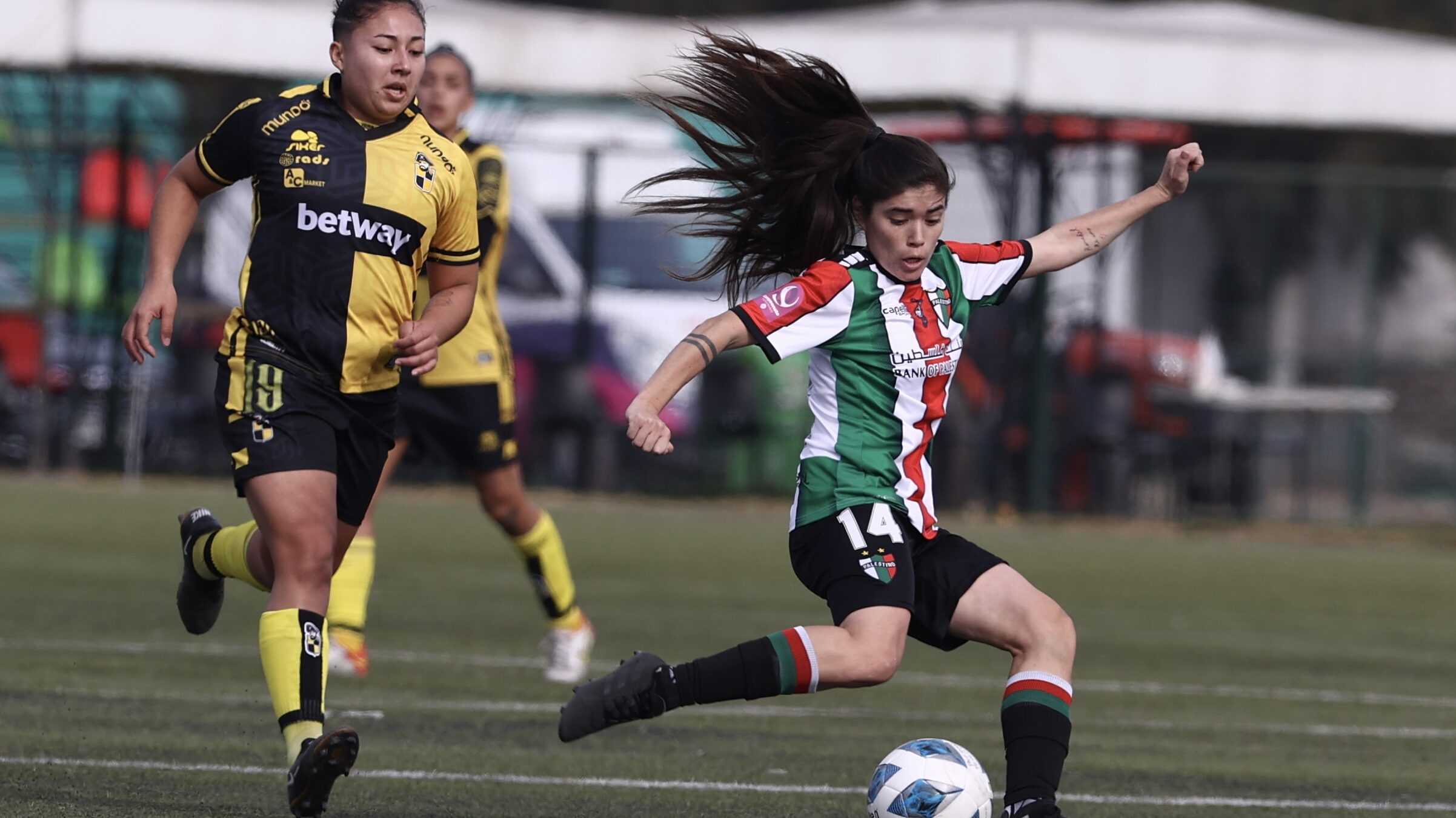 Coquimbo Unido Y Everton Viña Empatan 0-0: Crónica Del Partido Coquimbo Unido Y Everton Viña Empatan 0-0: Crónica Del Partido