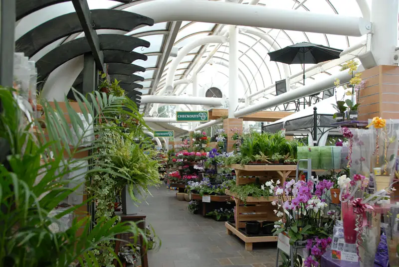 Court Case: Ambleside Couple And The Hayes Garden World Theft Court Case: Ambleside Couple And The Hayes Garden World Theft
