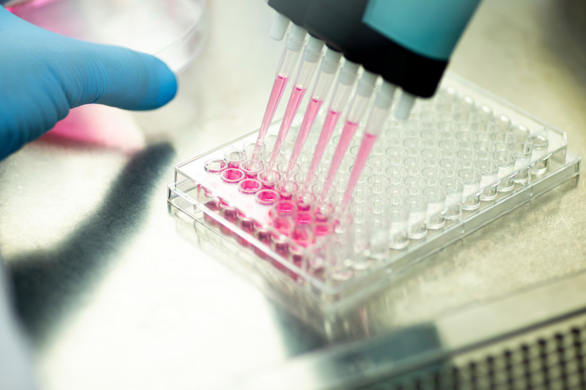 COVID-19 Testing Scandal: Lab Owner Convicted Of Falsified Results COVID-19 Testing Scandal: Lab Owner Convicted Of Falsified Results