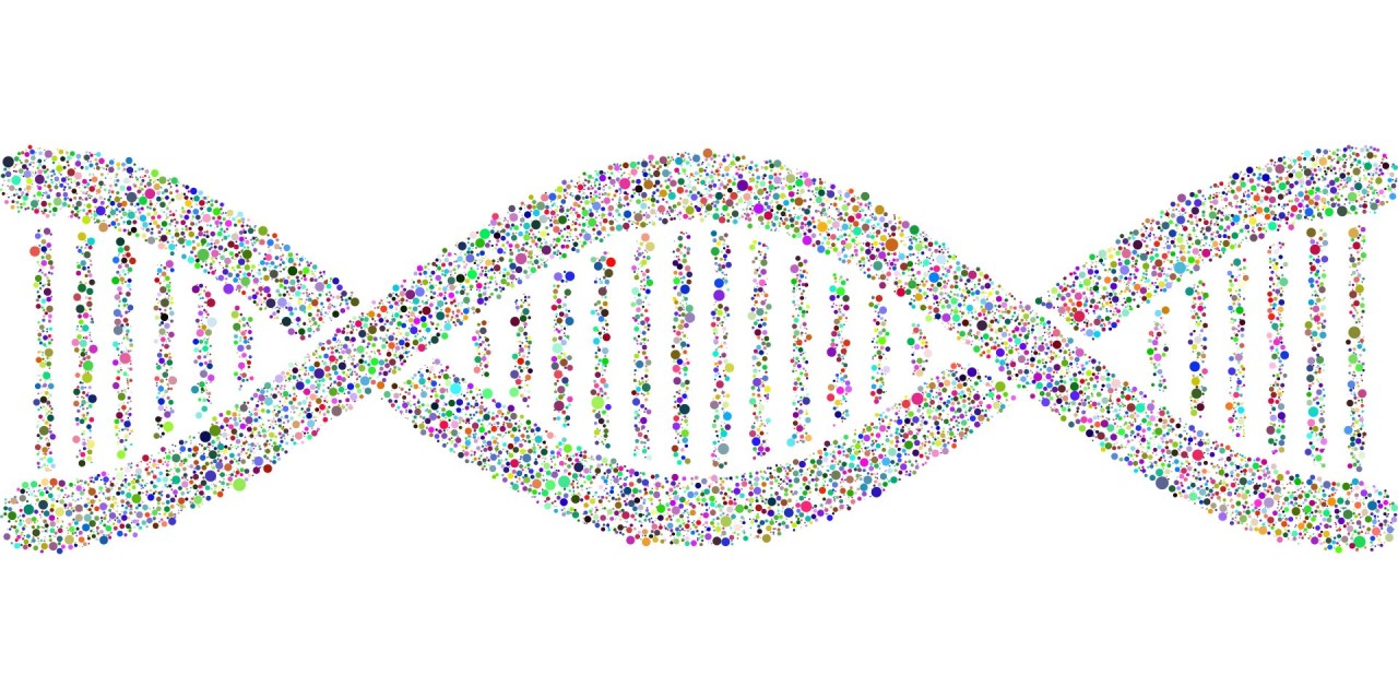 CRISPR Gene Editing: A Breakthrough In Precision And Effectiveness CRISPR Gene Editing: A Breakthrough In Precision And Effectiveness