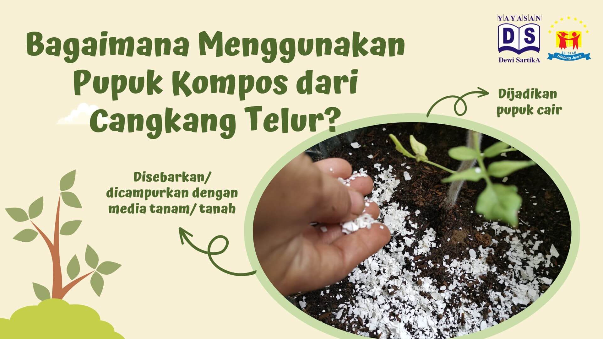 Daur Ulang Cangkang Telur: Cara Mudah Mendapatkan Nutrisi Tambahan Daur Ulang Cangkang Telur: Cara Mudah Mendapatkan Nutrisi Tambahan