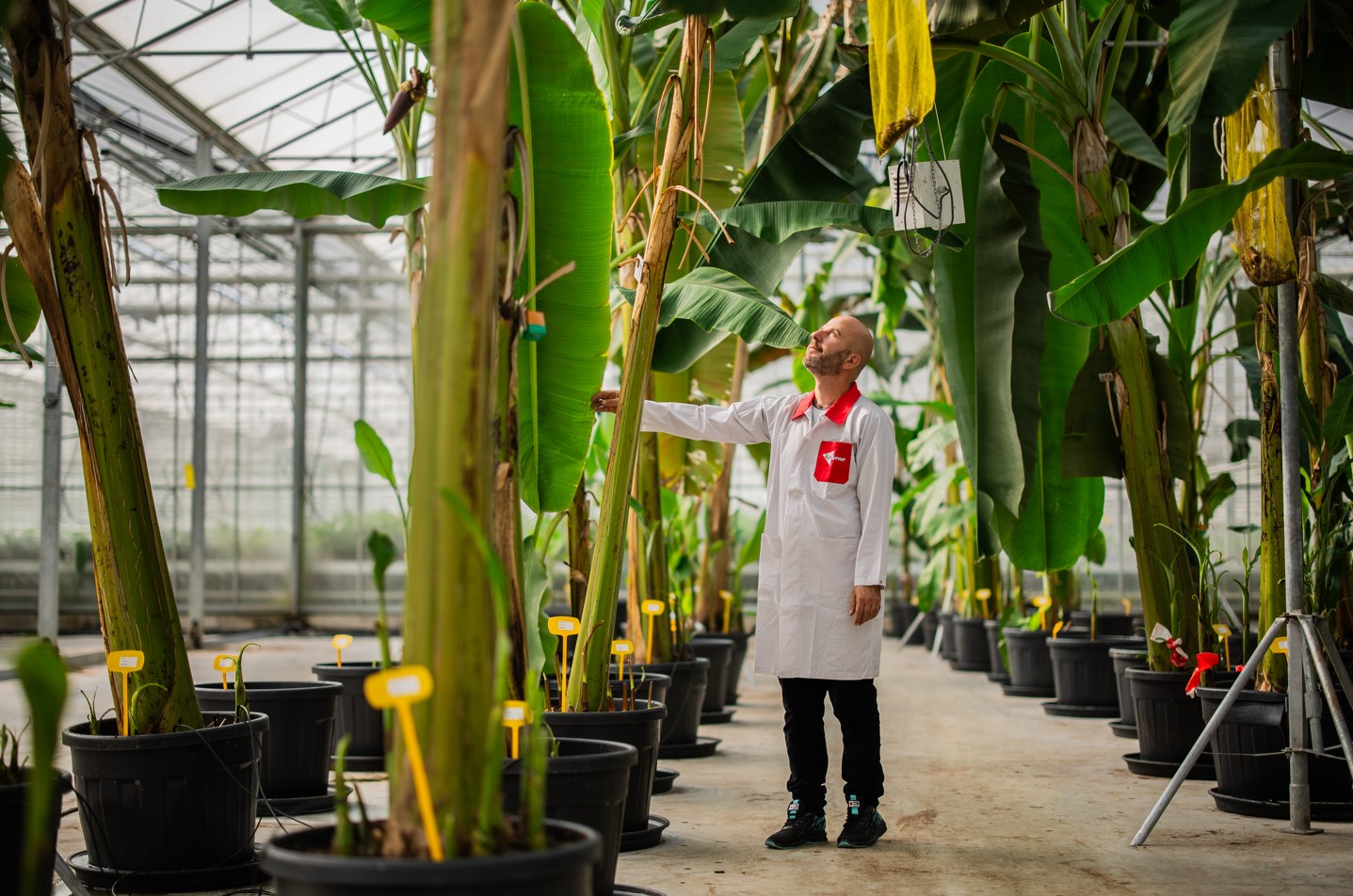 De Toekomst Van Bio-based Scholen: Energiezekerheid Centraal De Toekomst Van Bio-based Scholen: Energiezekerheid Centraal